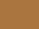 Beige Color Chip